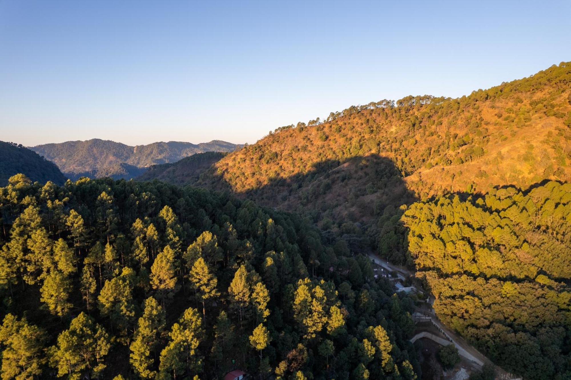 The Canadian Woods Resort Nainital Dış mekan fotoğraf